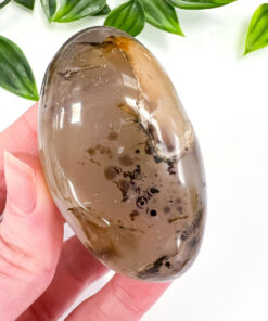 Dendritic Agate palm