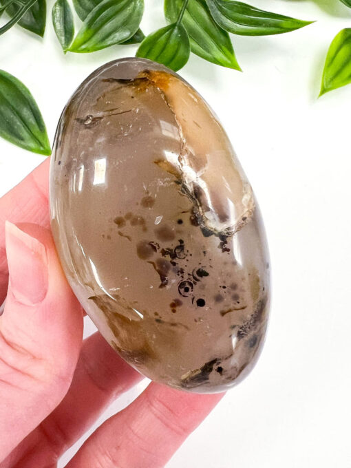 Dendritic Agate palm