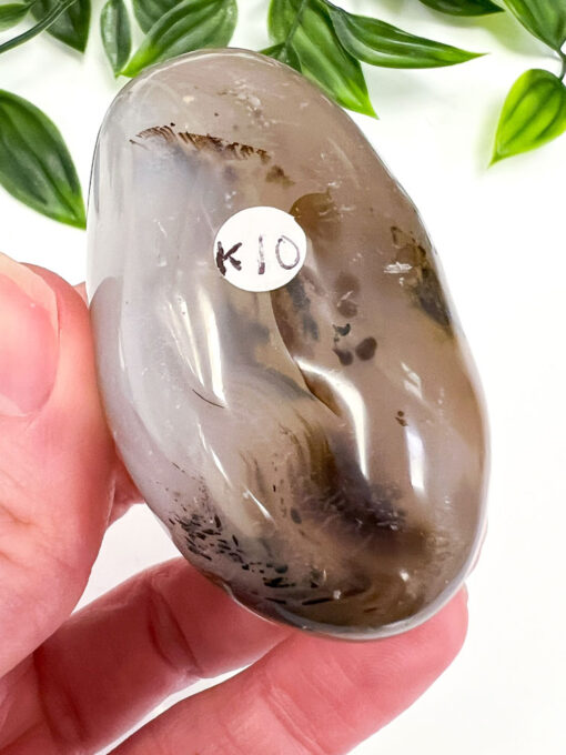 Dendritic Agate palm