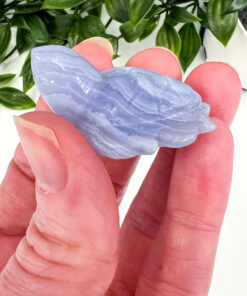 Blue Lace Agate turtle