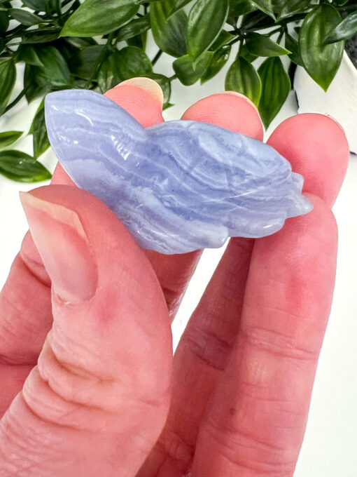 Blue Lace Agate turtle