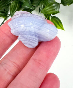 Blue Lace Agate turtle