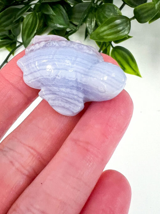 Blue Lace Agate turtle