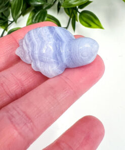 Blue Lace Agate turtle