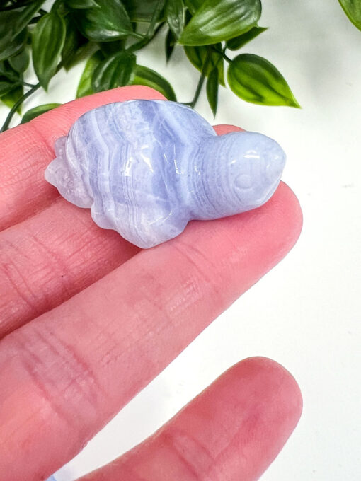 Blue Lace Agate turtle