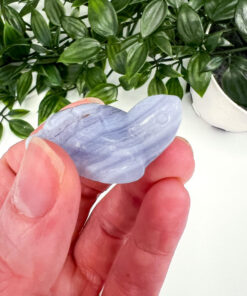 Blue Lace Agate turtle