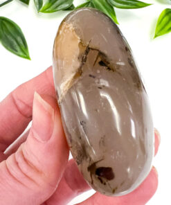 Dendritic Agate palm