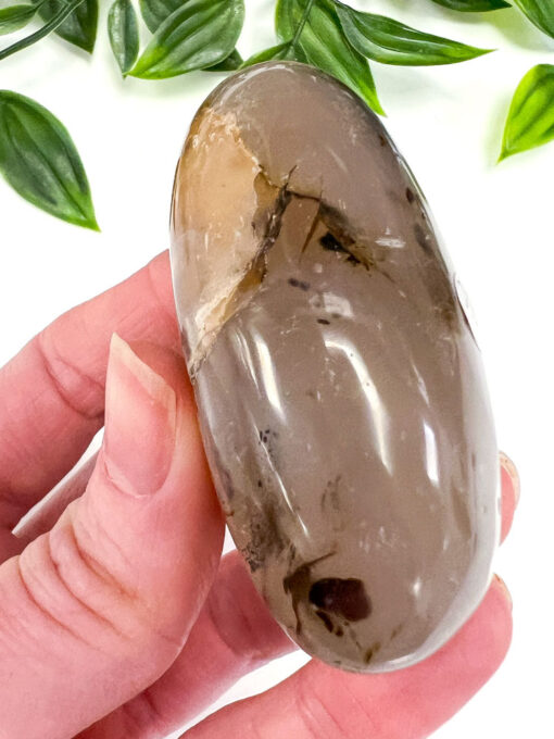 Dendritic Agate palm