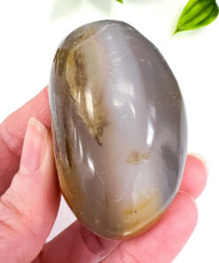 Dendritic Agate palm