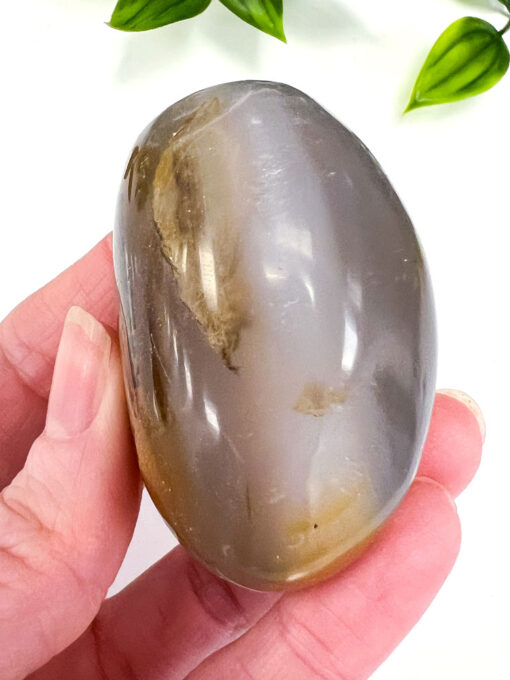 Dendritic Agate palm