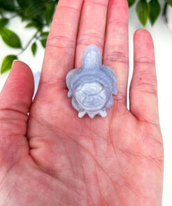 Blue Lace Agate turtle