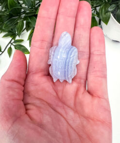 Blue Lace Agate turtle