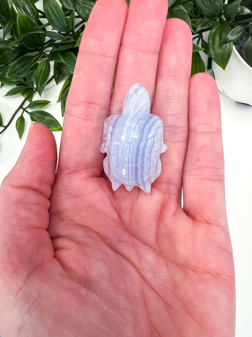 Blue Lace Agate turtle