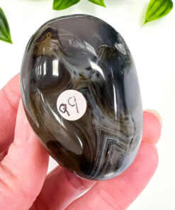 Dendritic Agate palm