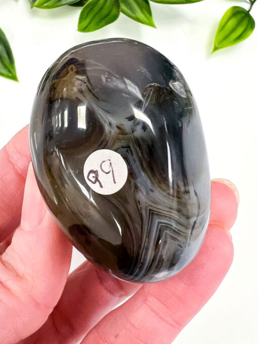 Dendritic Agate palm