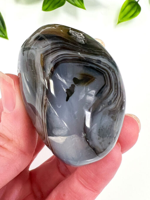 Dendritic Agate Palm | Q - Image 3