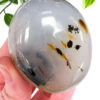 Dendritic Agate palm