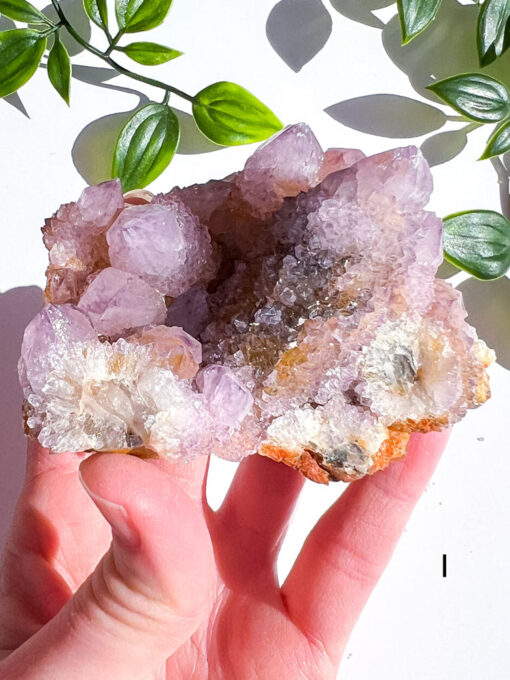 Spirit Quartz Cluster | I