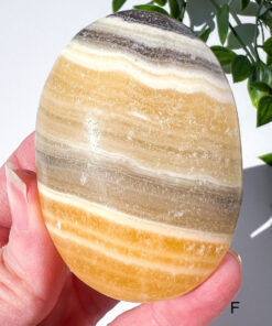 Zebra Calcite palm