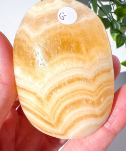 Zebra Calcite palm