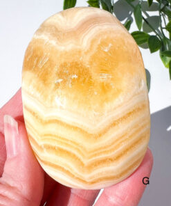 Zebra Calcite palm