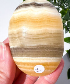 Zebra Calcite palm