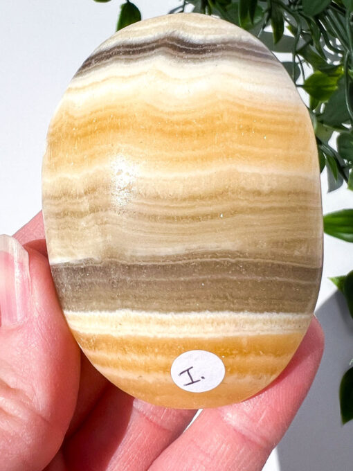 Zebra Calcite palm