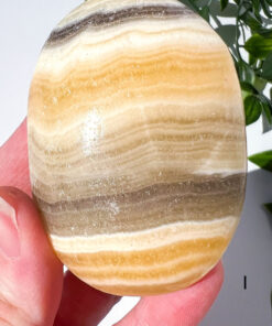 Zebra Calcite palm