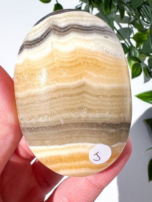 Zebra Calcite palm