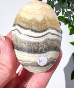 Zebra Calcite palm