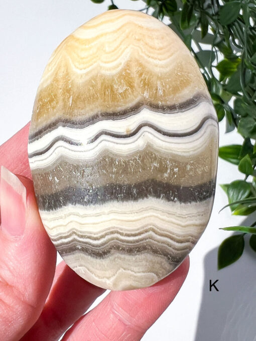 Zebra Calcite palm