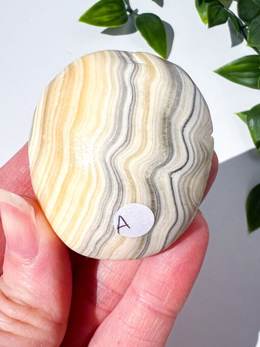 Zebra Calcite palm