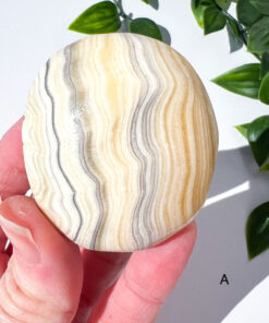 Zebra Calcite palm