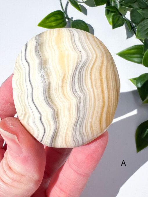 Zebra Calcite palm