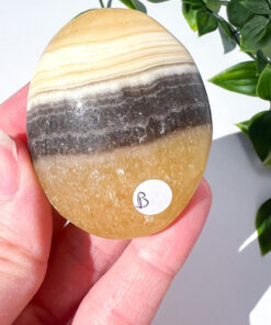 Zebra Calcite palm