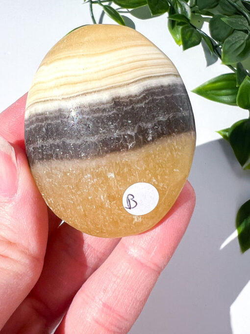 Zebra Calcite palm