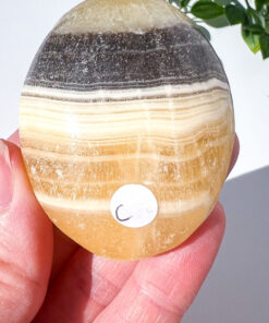 Zebra Calcite palm