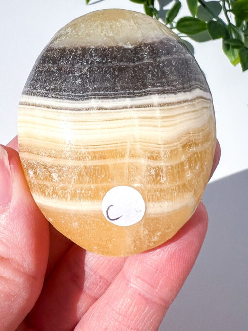 Zebra Calcite palm