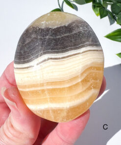 Zebra Calcite palm