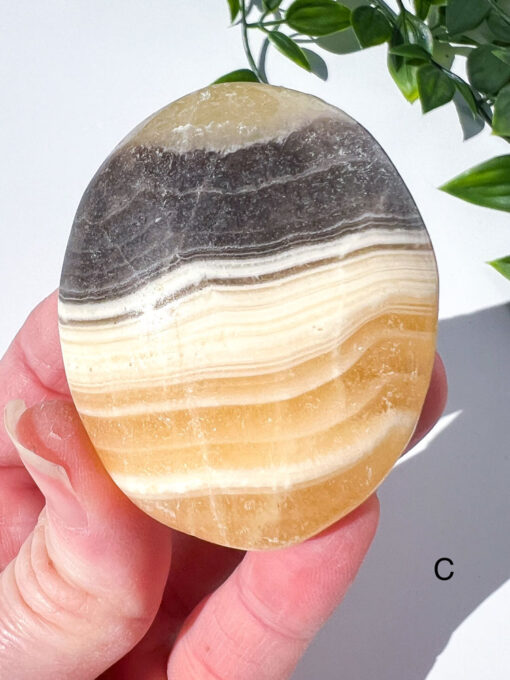 Zebra Calcite palm