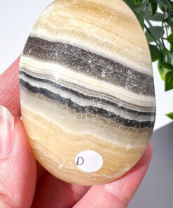 Zebra Calcite palm