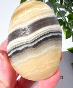 Zebra Calcite palm