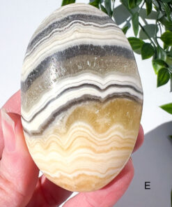 Zebra Calcite palm