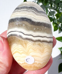 Zebra Calcite palm