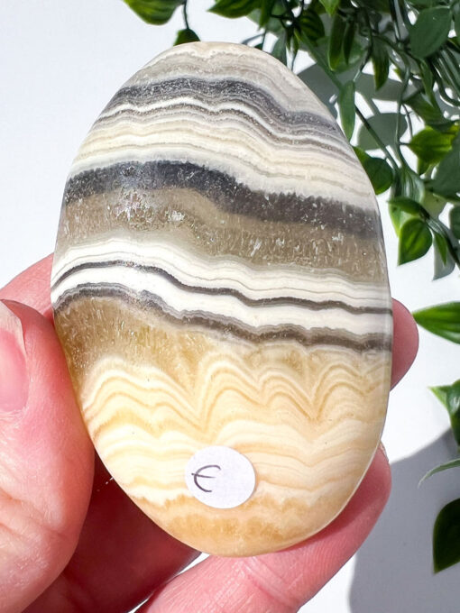 Zebra Calcite palm