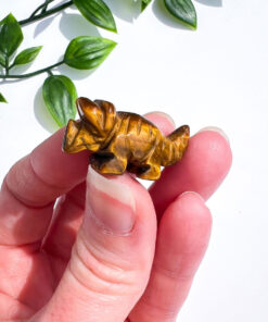 Small Tigers Eye Triceratops Carving