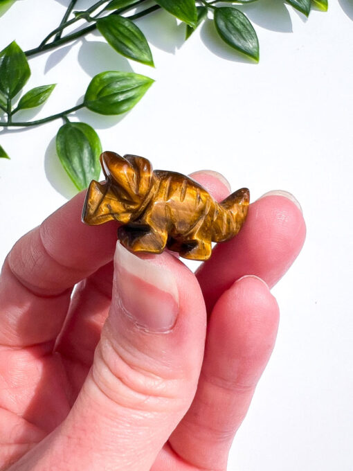 Small Tigers Eye Triceratops Carving