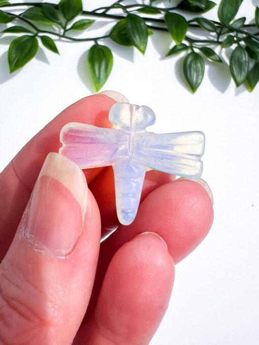 Opalite dragonfly