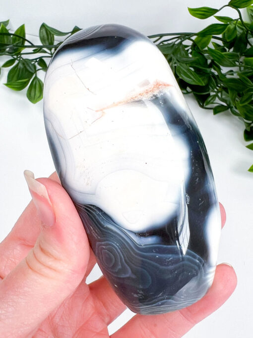 Orca Agate freeform