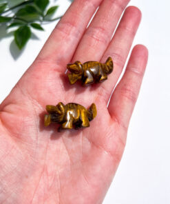 Small Tigers Eye Triceratops Carving